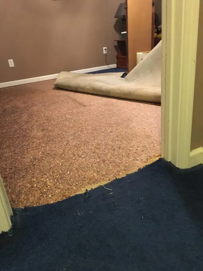 Carpet pad removal revealing water damage during Drying & Dehumidification in Bellaire