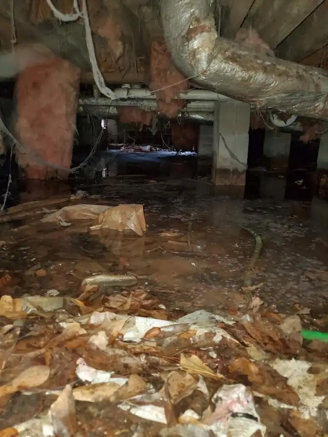 Crawl space flood assessment for Commercial Water Damage Restoration in Bellaire