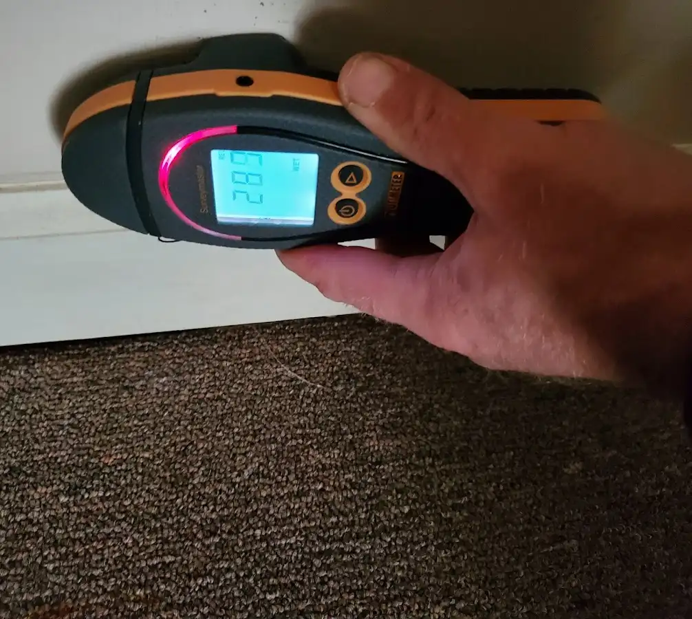 Moisture detection at baseboard during Mold Inspection & Testing in Bellaire